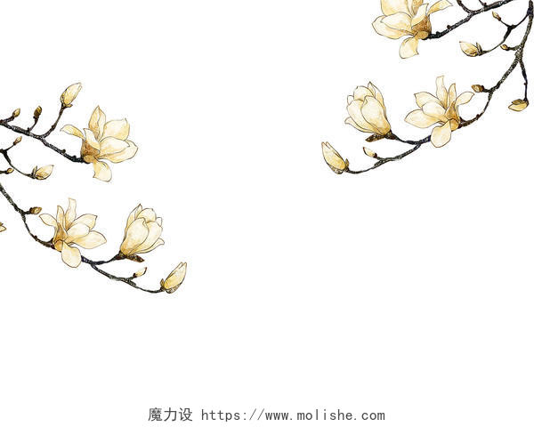 春天春季白色手绘卡通桃花树枝花枝雨水节气元素PNG素材